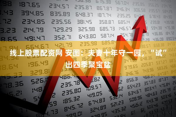 线上股票配资网 安图：夫妻十年守一园，“试”出四季聚宝盆